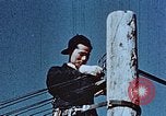 Image of released Nisei United States USA, 1944, second 52 stock footage video 65675037156