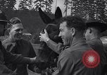 Standbild Krieg Ausbildung auf Maultieren Fort Lewis Washington USA, 1940, aus Sekunde 4 historischem Filmmaterial Videoclip 65675037160