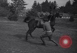 Standbild Krieg Ausbildung auf Maultieren Fort Lewis Washington USA, 1940, aus Sekunde 8 historischem Filmmaterial Videoclip 65675037160