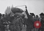 Standbild Krieg Ausbildung auf Maultieren Fort Lewis Washington USA, 1940, aus Sekunde 16 historischem Filmmaterial Videoclip 65675037160