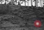 Standbild Krieg Ausbildung auf Maultieren Fort Lewis Washington USA, 1940, aus Sekunde 30 historischem Filmmaterial Videoclip 65675037160