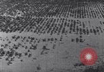 Standbild Terrassierung im Nordosten United States USA, 1939, aus Sekunde 39 historischem Filmmaterial Videoclip 65675037168