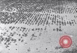 Standbild Terrassierung im Nordosten United States USA, 1939, aus Sekunde 40 historischem Filmmaterial Videoclip 65675037168