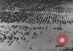 Standbild Terrassierung im Nordosten United States USA, 1939, aus Sekunde 41 historischem Filmmaterial Videoclip 65675037168