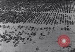 Standbild Terrassierung im Nordosten United States USA, 1939, aus Sekunde 42 historischem Filmmaterial Videoclip 65675037168