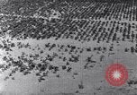 Standbild Terrassierung im Nordosten United States USA, 1939, aus Sekunde 43 historischem Filmmaterial Videoclip 65675037168