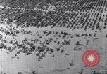 Standbild Terrassierung im Nordosten United States USA, 1939, aus Sekunde 44 historischem Filmmaterial Videoclip 65675037168