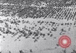 Standbild Terrassierung im Nordosten United States USA, 1939, aus Sekunde 45 historischem Filmmaterial Videoclip 65675037168