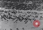 Standbild Terrassierung im Nordosten United States USA, 1939, aus Sekunde 46 historischem Filmmaterial Videoclip 65675037168