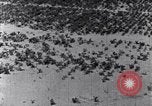 Standbild Terrassierung im Nordosten United States USA, 1939, aus Sekunde 47 historischem Filmmaterial Videoclip 65675037168