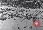 Standbild Terrassierung im Nordosten United States USA, 1939, aus Sekunde 48 historischem Filmmaterial Videoclip 65675037168