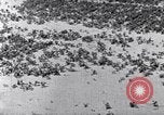 Standbild Terrassierung im Nordosten United States USA, 1939, aus Sekunde 50 historischem Filmmaterial Videoclip 65675037168