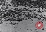 Standbild Terrassierung im Nordosten United States USA, 1939, aus Sekunde 51 historischem Filmmaterial Videoclip 65675037168
