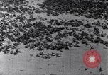 Standbild Terrassierung im Nordosten United States USA, 1939, aus Sekunde 52 historischem Filmmaterial Videoclip 65675037168