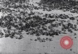 Standbild Terrassierung im Nordosten United States USA, 1939, aus Sekunde 53 historischem Filmmaterial Videoclip 65675037168