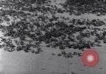 Standbild Terrassierung im Nordosten United States USA, 1939, aus Sekunde 54 historischem Filmmaterial Videoclip 65675037168