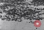 Standbild Terrassierung im Nordosten United States USA, 1939, aus Sekunde 55 historischem Filmmaterial Videoclip 65675037168
