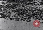 Standbild Terrassierung im Nordosten United States USA, 1939, aus Sekunde 57 historischem Filmmaterial Videoclip 65675037168