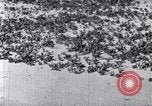 Standbild Terrassierung im Nordosten United States USA, 1939, aus Sekunde 58 historischem Filmmaterial Videoclip 65675037168