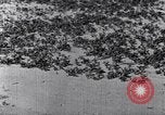 Standbild Terrassierung im Nordosten United States USA, 1939, aus Sekunde 59 historischem Filmmaterial Videoclip 65675037168