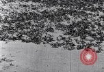 Standbild Terrassierung im Nordosten United States USA, 1939, aus Sekunde 60 historischem Filmmaterial Videoclip 65675037168