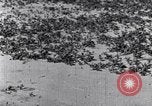 Standbild Terrassierung im Nordosten United States USA, 1939, aus Sekunde 61 historischem Filmmaterial Videoclip 65675037168