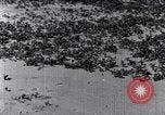 Standbild Terrassierung im Nordosten United States USA, 1939, aus Sekunde 62 historischem Filmmaterial Videoclip 65675037168
