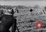 Immagine di Allevamento a schiera United States USA, 1939, secondo 9 filmato di repertorio 65675037169