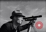 Immagine di Allevamento a schiera United States USA, 1939, secondo 10 filmato di repertorio 65675037169