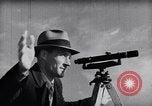 Immagine di Allevamento a schiera United States USA, 1939, secondo 15 filmato di repertorio 65675037169