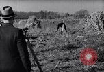 Immagine di Allevamento a schiera United States USA, 1939, secondo 17 filmato di repertorio 65675037169