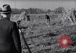 Immagine di Allevamento a schiera United States USA, 1939, secondo 19 filmato di repertorio 65675037169