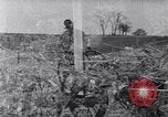 Immagine di Allevamento a schiera United States USA, 1939, secondo 26 filmato di repertorio 65675037169