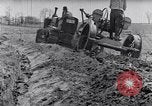 Immagine di Allevamento a schiera United States USA, 1939, secondo 44 filmato di repertorio 65675037169