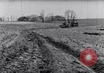 Immagine di Allevamento a schiera United States USA, 1939, secondo 53 filmato di repertorio 65675037169