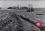 Immagine di Allevamento a schiera United States USA, 1939, secondo 54 filmato di repertorio 65675037169