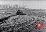 Immagine di Allevamento a schiera United States USA, 1939, secondo 58 filmato di repertorio 65675037169