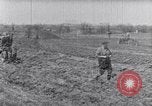 Standbild Terrasse Landwirtschaft United States USA, 1939, aus Sekunde 4 historischem Filmmaterial Videoclip 65675037170