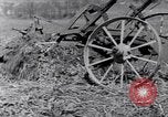 Standbild Terrasse Landwirtschaft United States USA, 1939, aus Sekunde 10 historischem Filmmaterial Videoclip 65675037170