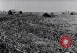 Standbild Terrasse Landwirtschaft United States USA, 1939, aus Sekunde 29 historischem Filmmaterial Videoclip 65675037170