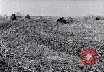 Standbild Terrasse Landwirtschaft United States USA, 1939, aus Sekunde 30 historischem Filmmaterial Videoclip 65675037170