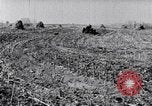 Standbild Terrasse Landwirtschaft United States USA, 1939, aus Sekunde 31 historischem Filmmaterial Videoclip 65675037170