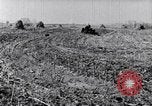 Standbild Terrasse Landwirtschaft United States USA, 1939, aus Sekunde 32 historischem Filmmaterial Videoclip 65675037170