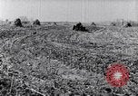 Standbild Terrasse Landwirtschaft United States USA, 1939, aus Sekunde 33 historischem Filmmaterial Videoclip 65675037170