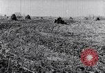 Standbild Terrasse Landwirtschaft United States USA, 1939, aus Sekunde 34 historischem Filmmaterial Videoclip 65675037170