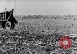 Standbild Terrasse Landwirtschaft United States USA, 1939, aus Sekunde 35 historischem Filmmaterial Videoclip 65675037170