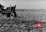Standbild Terrasse Landwirtschaft United States USA, 1939, aus Sekunde 36 historischem Filmmaterial Videoclip 65675037170