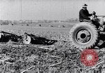 Standbild Terrasse Landwirtschaft United States USA, 1939, aus Sekunde 42 historischem Filmmaterial Videoclip 65675037170