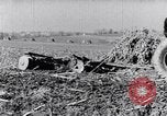 Standbild Terrasse Landwirtschaft United States USA, 1939, aus Sekunde 43 historischem Filmmaterial Videoclip 65675037170