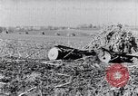 Standbild Terrasse Landwirtschaft United States USA, 1939, aus Sekunde 44 historischem Filmmaterial Videoclip 65675037170